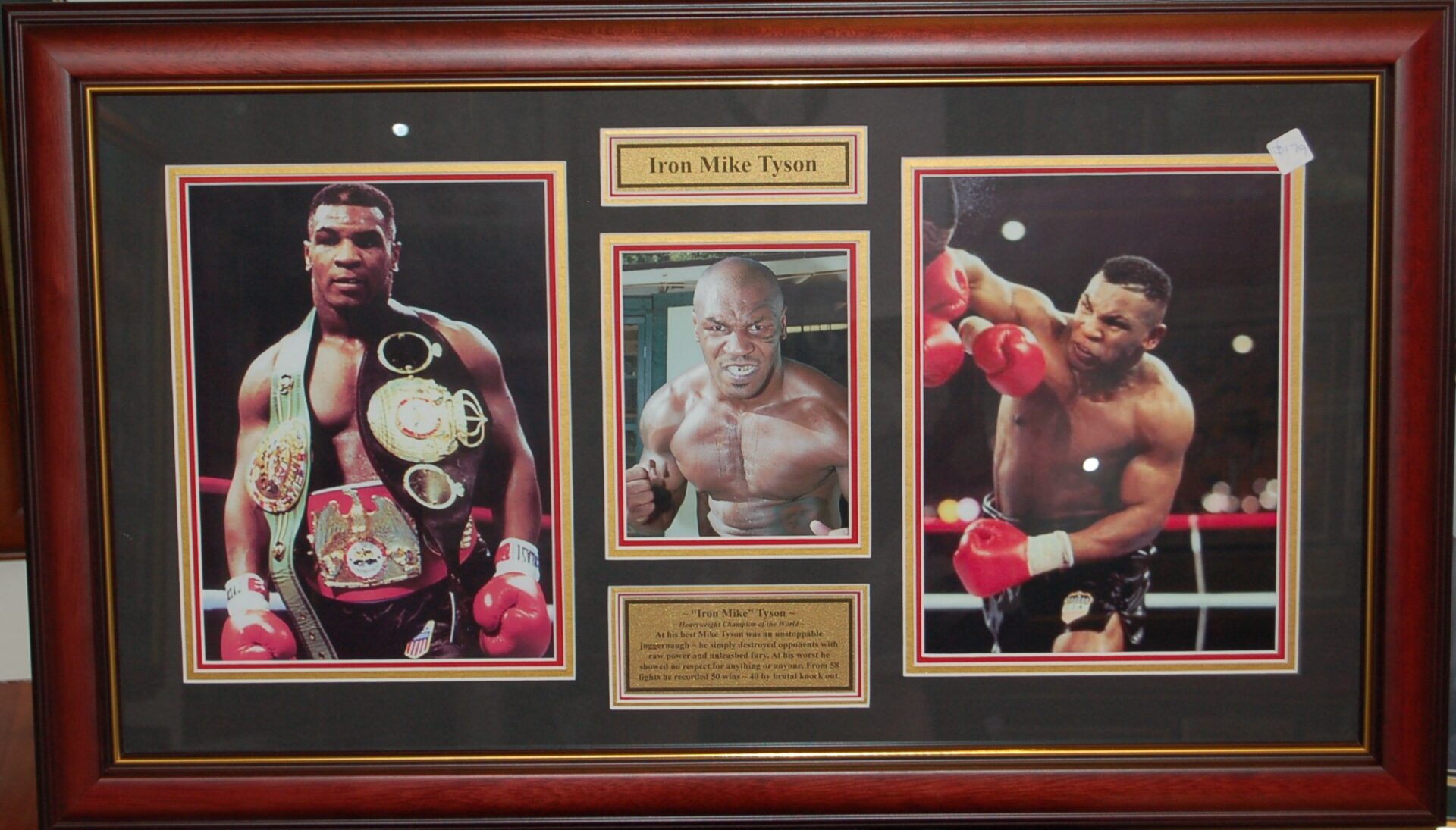 Mike Tyson Heavyweight Champion of the World Pro Sports Memorabilia