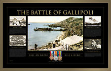 THE BATTLE OF GALLIPOLI