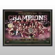 2015 MAROONS SUCCESS SOO framed print