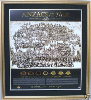 Anzacs at War