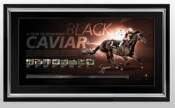 Black Caviar