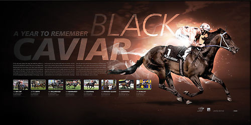Black Caviar framed sports print - VRC Licensed print 1 Black Caviar framed sports print - VRC Licensed print