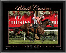 Black Caviar Record Breaker Framed lithograph