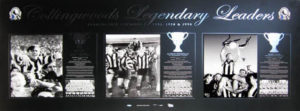 Collingwood Legends Framed Panoramic