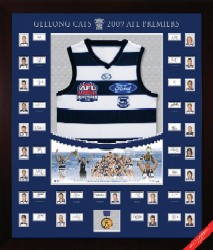 Geelong 2009 Premiership jersey