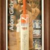 Memorabilia Framing - Cricket bats  Boxing Gloves and other Memorabilia Framing