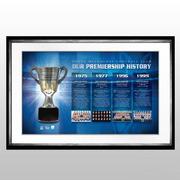 North Melbourne Premiersip History Framed Half Cup