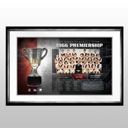 St Kilda Premiership History Framed Half Cup