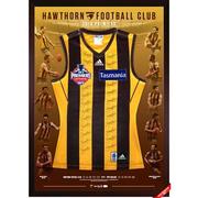 Hawks 2014 Premiers signed framed jersey