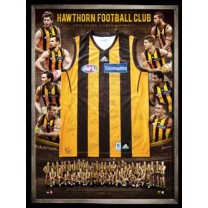 Hawthorn 2013 signed premiership jersey