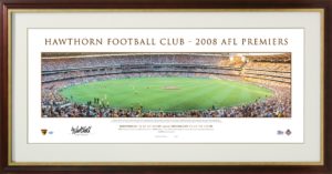 Hawthorn Premiership Panoramic