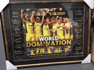 ICC 2015 World Domination