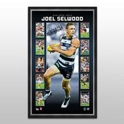 AFL 2014 Vertiramic - Joel Selwood