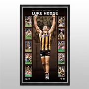 AFL 2014 Vertiramic - Luke Hodge