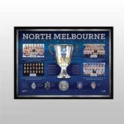 North Melbourne The Historical Series