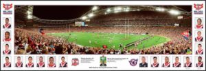 Roosters 2013 Ground panoramic framed
