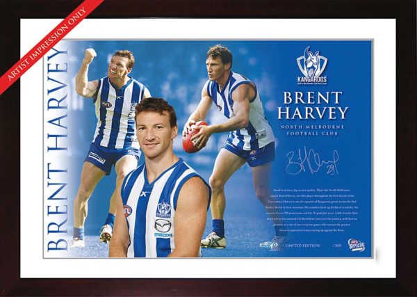 Brent Harvey signed 2010 North Melbourne Starshot