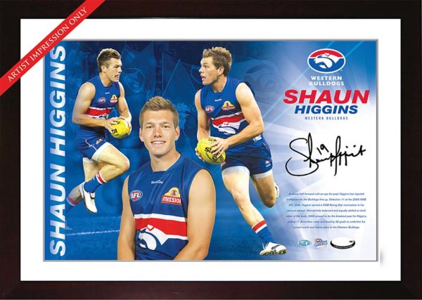 Shaun Higgins signed 2010 Western Bulldogs Starshot
