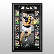 AFL 2014 Vertiramic - Trent Cotchin