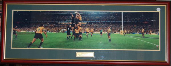 The Bledisloe Panoramic