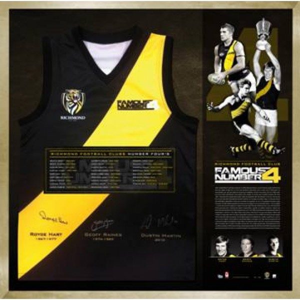 signed tigers jersey