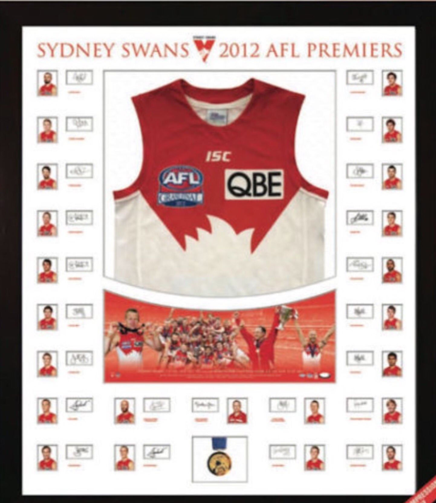 afl jerseys sydney