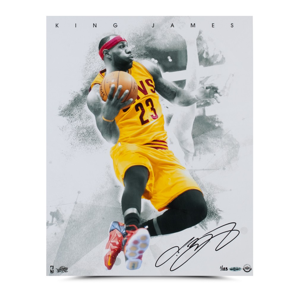 lebron signature