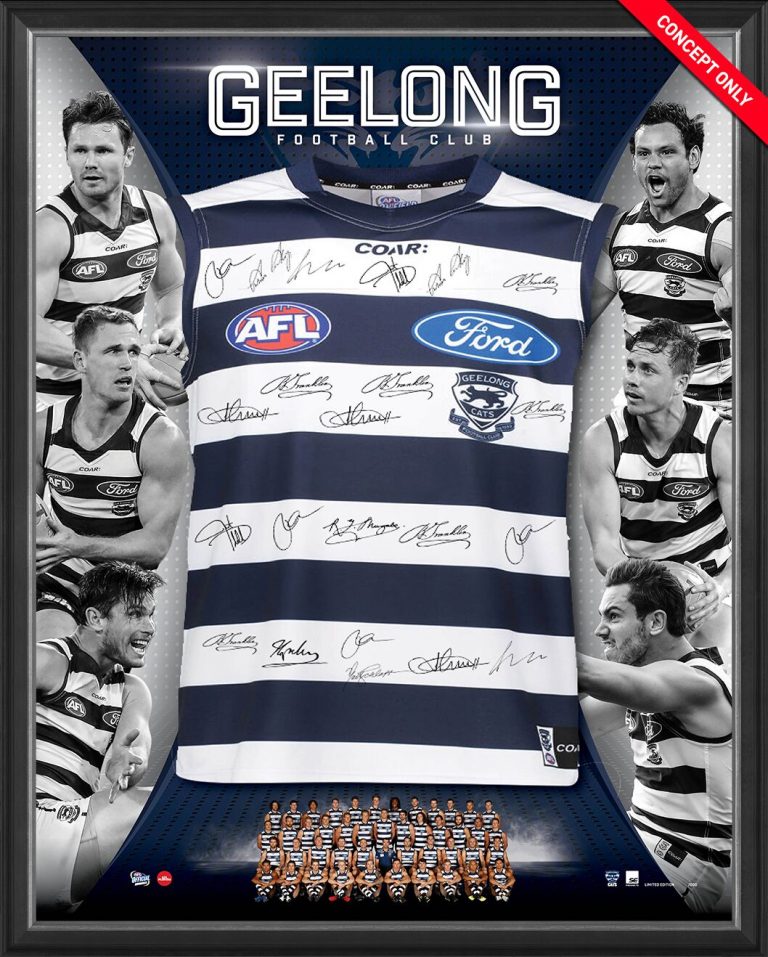 2017 Geelong Cats Football Club Team Signed and Framed Guernsey Pro